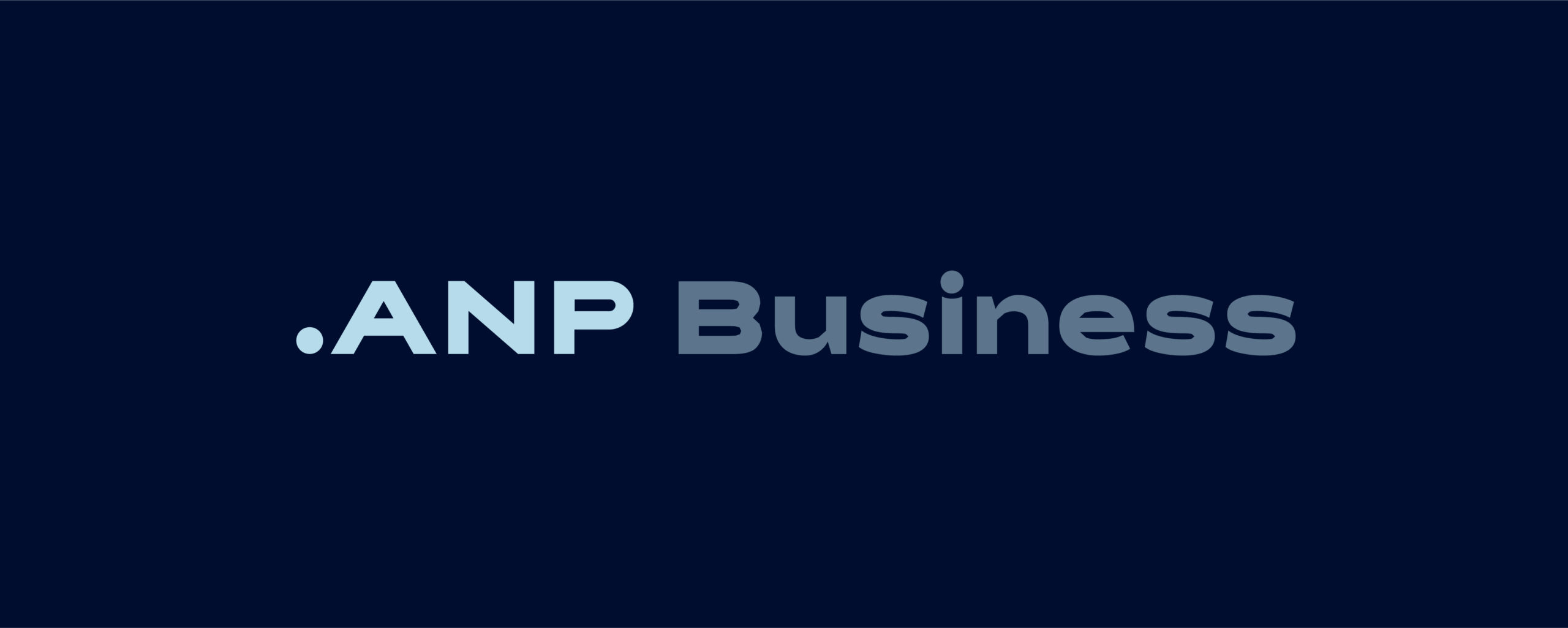 ANP Business Logo-01